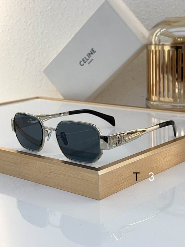 Celine Sunglasses ID:20240804-11